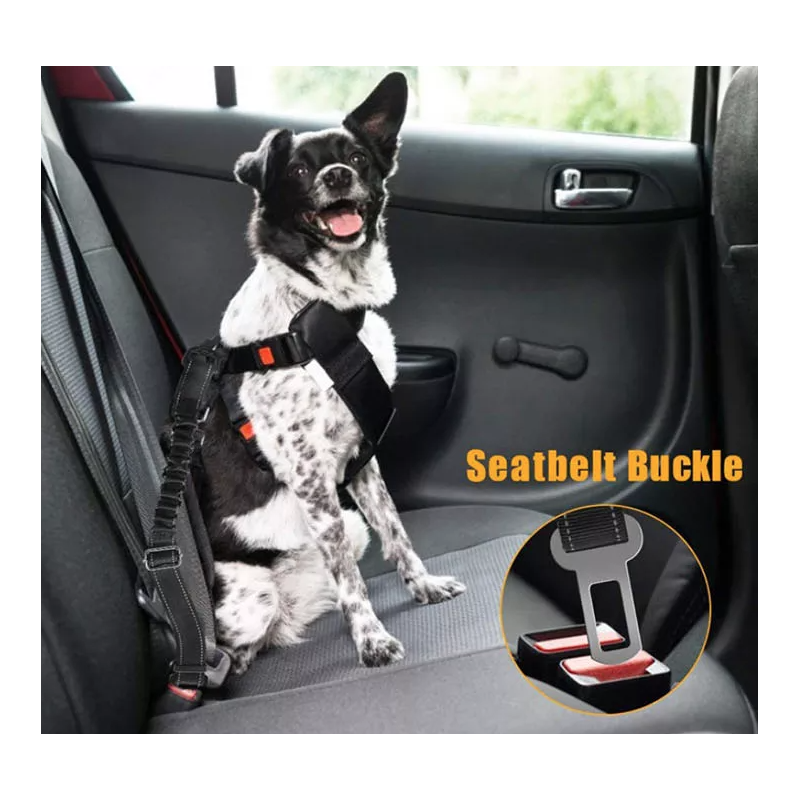 Ceinture de sécurité pour chien réglable et élastique pour une voiture