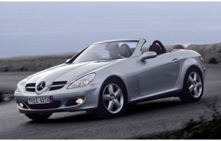 Protecteur de coffre de voiture réversible Mercedes SLK R171 (2004 - 2011)